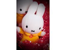 R012 (�������� ������ - ����� ����� ���)