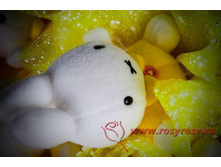 R013 (��������� �������� - ��������� �������� � �������)