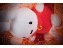 R015 (����������� - �������� ����� �������)