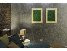 DSC0034_����� ������.jpg