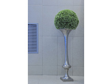 DSC0068_����� ������.jpg