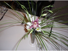 ���������� 006