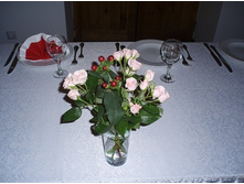 ���������� 008