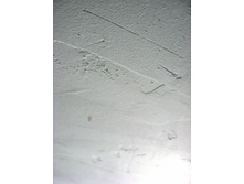 IMG_7918.jpg