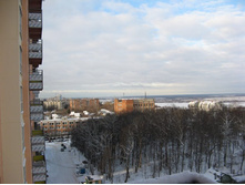 IMG_7955.JPG