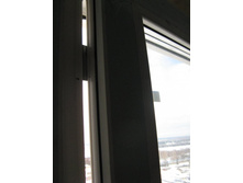 IMG_7987.JPG