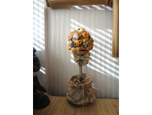 ������� ������