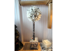 ��������� �������