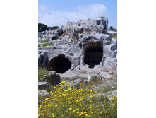 ��������. ��������������� ���� ��������. ������ ��������