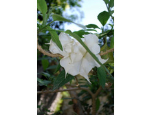 �� �������� ��� �����������! :) ������