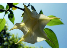 ������ 2