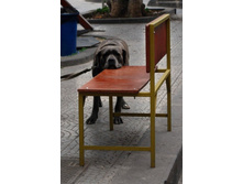 ��� ���� ��� ����� ����� ���������� ��� ���������� ������ ������� :)))