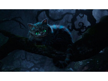 ������ ���������� ���� — �������� �����, ������