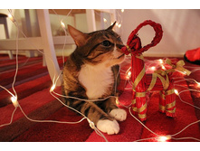 ���� � �����.jpg