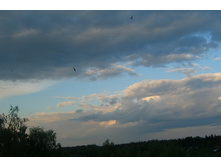 19.08.2012 21:53:50