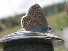 ���� 5312.jpg