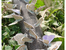 ���� 5316.jpg