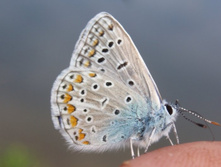 ���� 5328.jpg