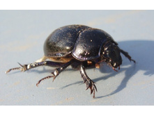 ���� 5353.jpg