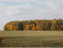 ����������� 095.jpg