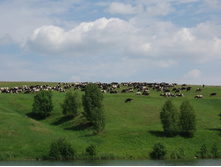 ����4 006.jpg