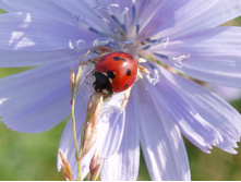 ���� 117.jpg