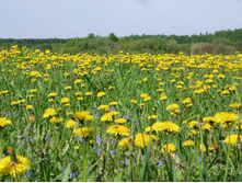 ���� 144.jpg