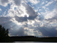 ���� 290.jpg