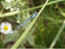 ���� 5212.jpg