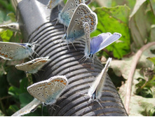 ���� 5320.jpg