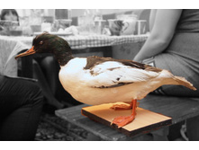 ���� 001.jpg