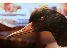 ���� 003.jpg