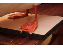 ���� 004.jpg