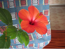 �������� ������