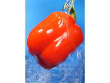 ������ ���������.