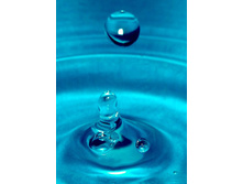 ������� �����������.