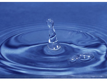 ������� �����.