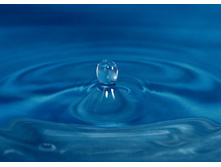 ����������.