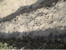 ����� �� ������... �� ����� �������)