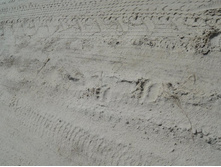 � ��� ����� ���� ����, �� ��������, ���� ������)