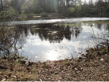 � ��� ��������)