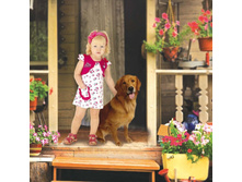 ���� 2012_23.jpg