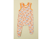 ���520 ������ ���������.JPG