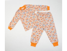 ���101 ������ ���������.JPG