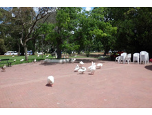 CIMG0369.JPG
