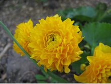 ����������