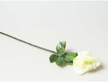 ���� �����.jpg