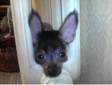 ���� ��������, ��� �� ����