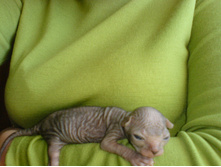 �������������)