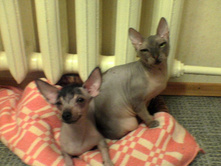 �������� � ����� (���� � ������)